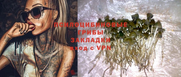 ALPHA PVP Горнозаводск