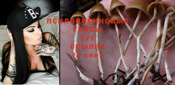 spice Горно-Алтайск