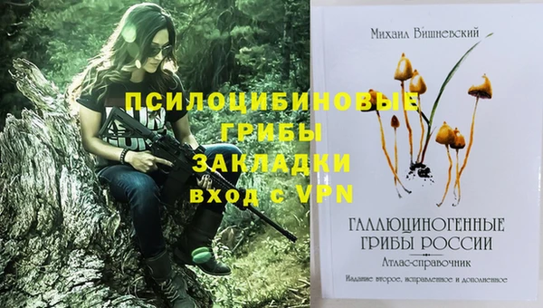 меф Гусь-Хрустальный