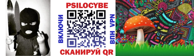 Псилоцибиновые грибы Psilocybine cubensis  Дзержинск 